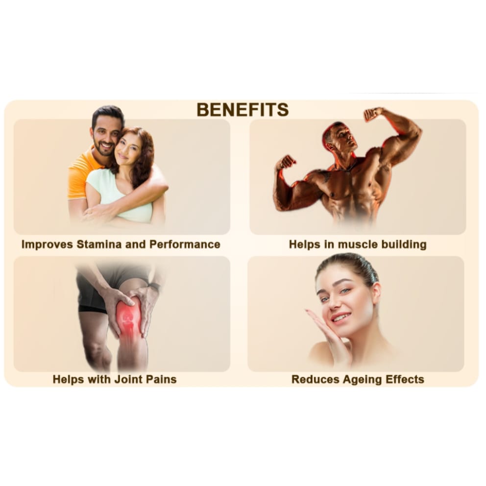 Shilajit Resin (20g)